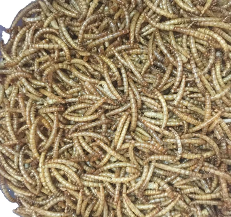 Tunnel Type Microwave Insect BSFL Mealworm Drying Machine Microwave Oven