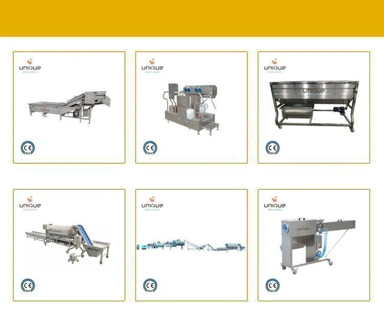 Palm Dates Washing Machine - Efficient & Reliable Processing