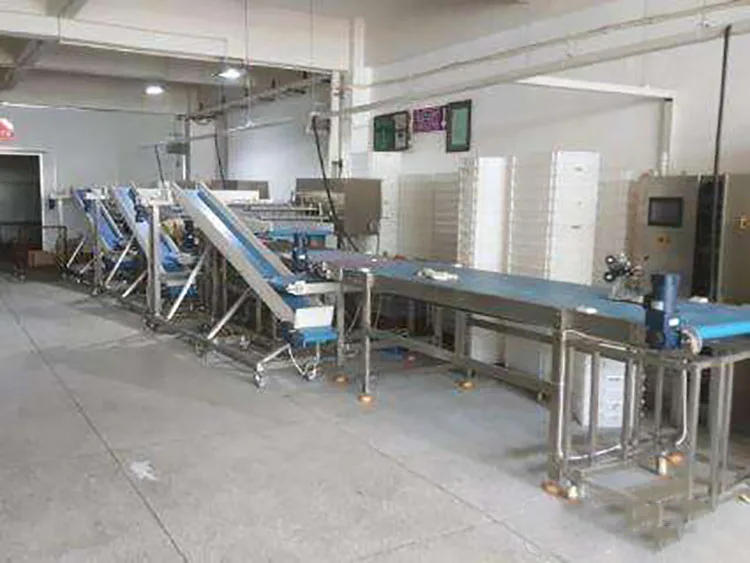 Hamburger Frying Machine Hamburger Patty Forming Machine for Factory