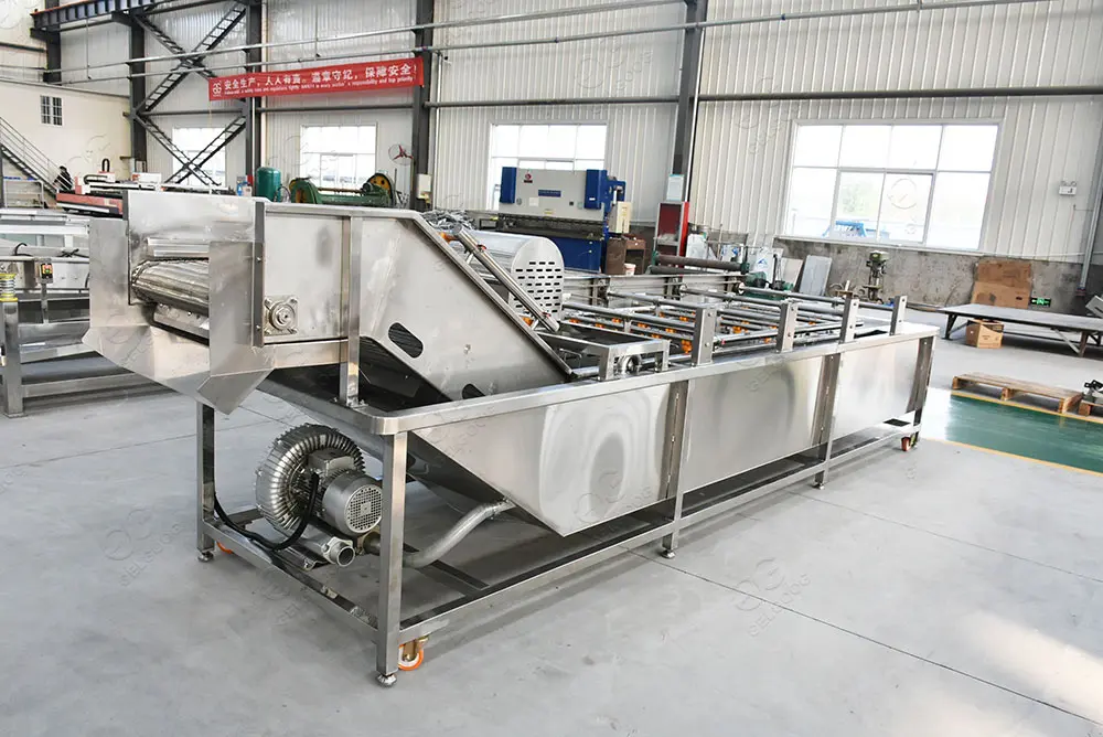 Automatic Iraq Date Palm Washing and Drying Line - 500kg/h Commercial ...
