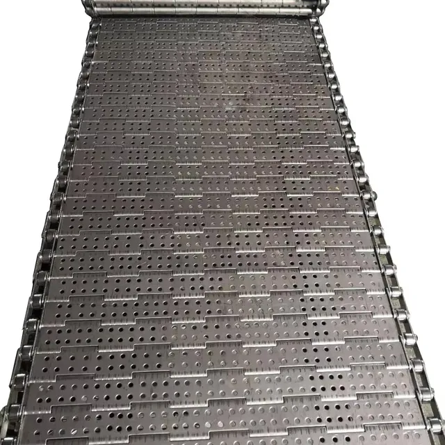 Stainless Steel Chain Conveyor Belt Transporting Food and Beverage for Food Processing Machinery Parts