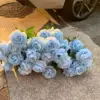 Blu-chiaro