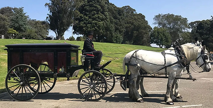 Customized Funeral Hearse Horse Carriage Modern Casket Chariot Horse Drawn Carriage Royal Design Funeral Hearse Wagon/Carriage