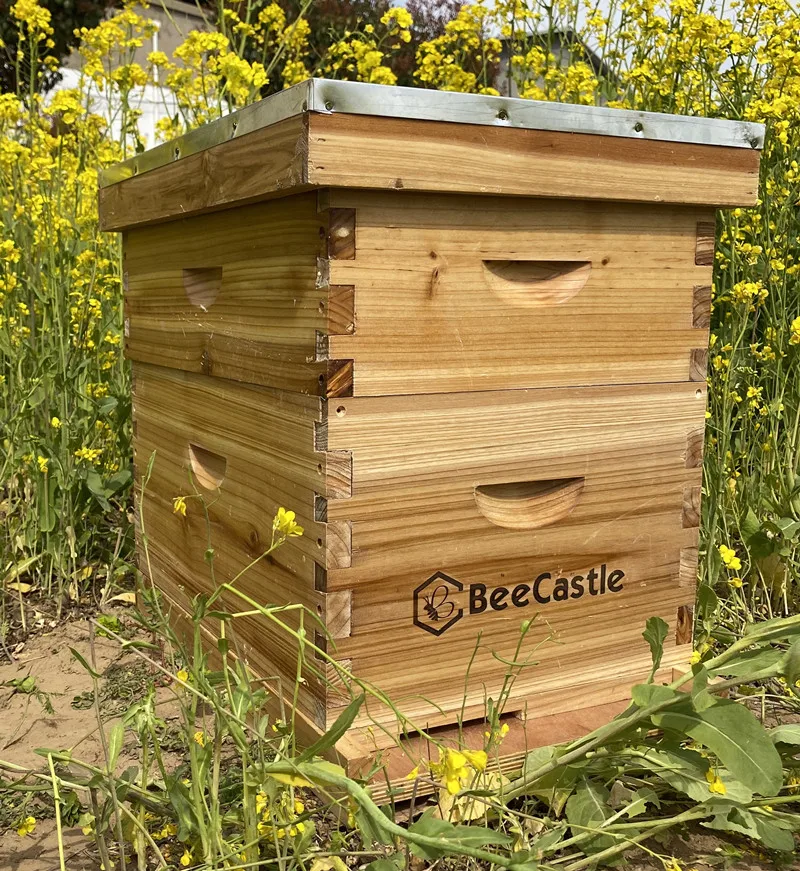 Honey Beekeeping Equipment High Quality Cheap Price Langstroth Wax