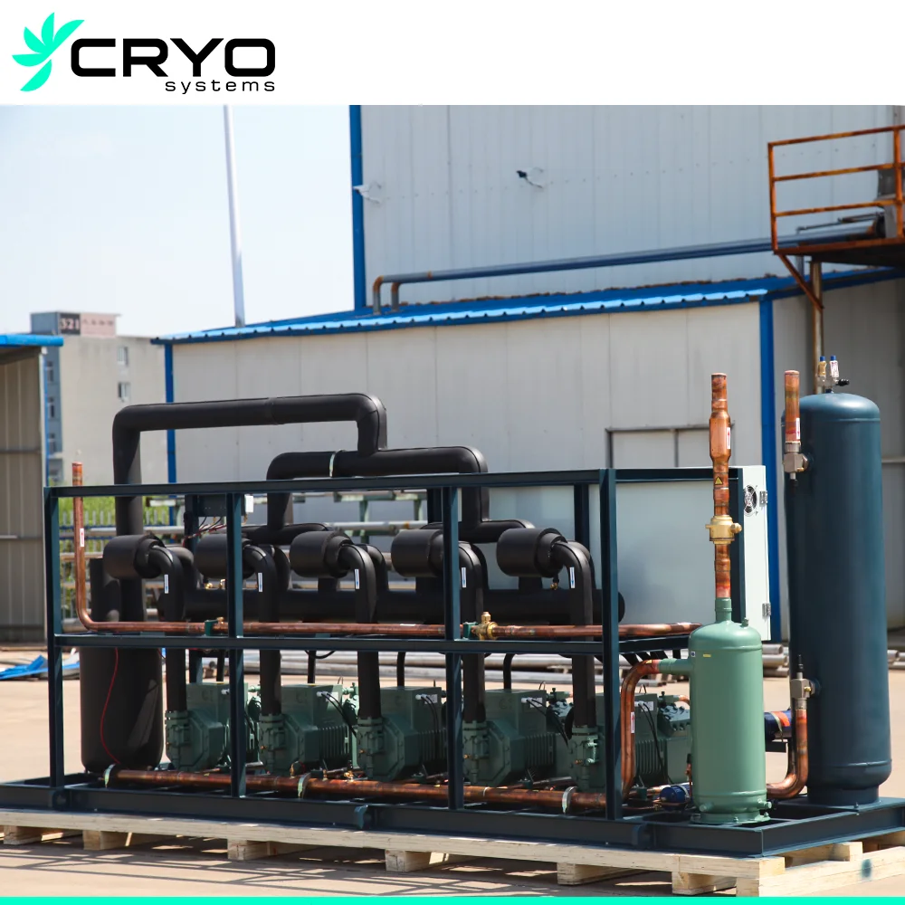Rack Condensing Unit Multi Compressor Refrigeration System for Cold Room