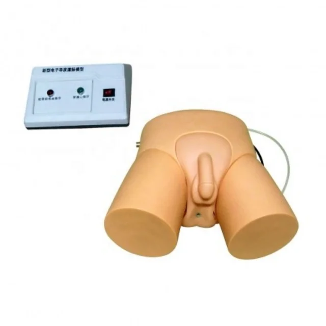 DARHMMY PVC Electronic Medical Science Teaching Practice Model for Schools and Hospitals Catheterisation and Enema Training