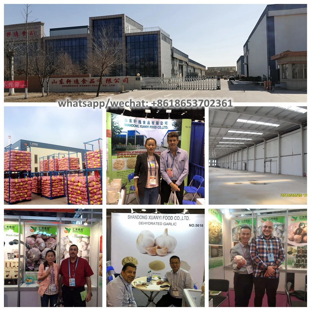 2025 New Crop a Grade Ajo Granulado China Dehydrated Garlic Granules
