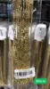 R155 placcato 14k