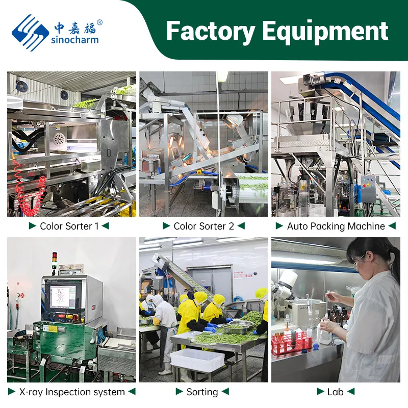 Sinocharm BRC-A 4-Star Product OEM Brands Factory Price 1Kg IQF Frozen Red Currant for Juice
