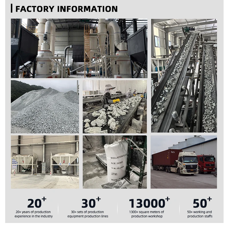 Improved Wollastonite Powder for Plastic Rubber Coatings Paper Waterproof Membranes Construction Ceramics factory