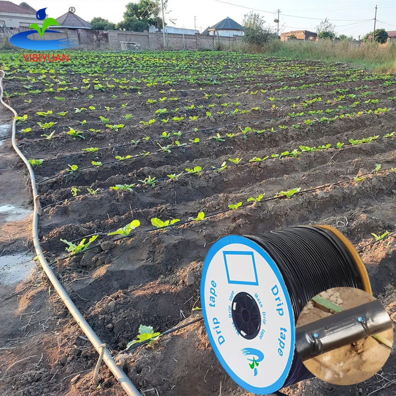 Agricultural PC Drip Tape 16 mm 30 cm Spacing Irrigation System 0.3mm 16mm Drip Lines Drip Lines for Irrigation