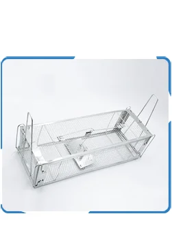 Mouse Catch (3).png