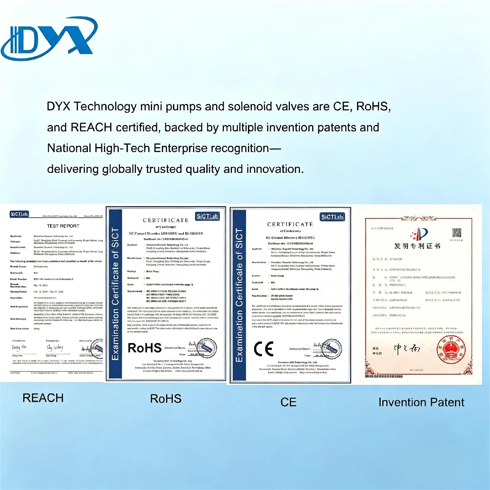 DYX-SPS-02  AC Electric Driven Steam Generator Pump  230 Volt Steam Oven Solenoid Water Pump
