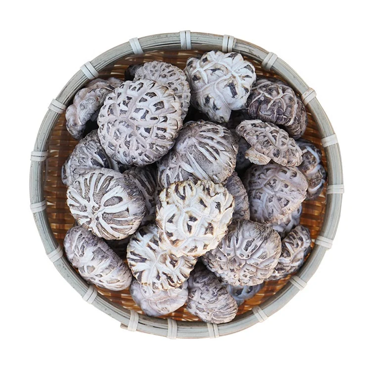 Органические грибы Shiitake, сельскохозяйственная упаковка, сушеные грибы shiitake