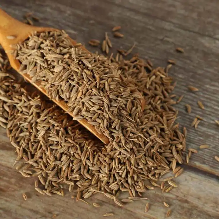 High Quality Supplier Price Indian Cumin Whole Spices Dried Cumin Seeds