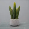 Verde#8