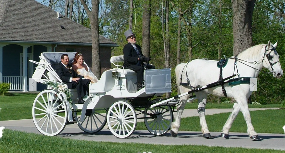 Oem Romantic Sightseeing Horse Carriage Luxurious Horses Wagon ...