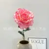 Rosa de ensueño
