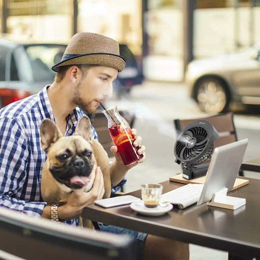 2024 Wholesale Outdoor Umbrella Water Spray Fan Handheld Pug