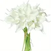 Bianco con anima bianca