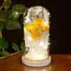 11*22 cm Million Stars  Three thumb flowers Golden yellow