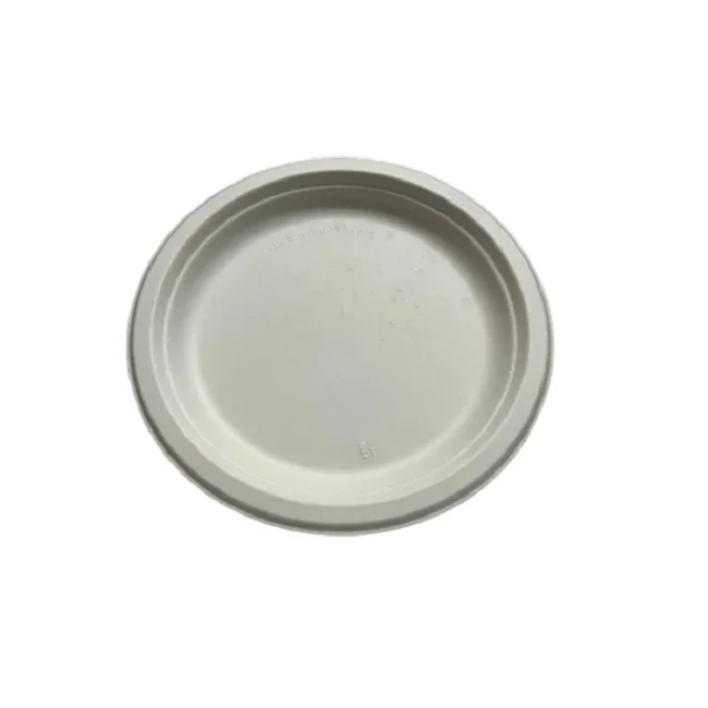Recycle Biodegradable Bamboo Pulp Paper Mache Plate&Bowl Food Container Box Microwave Ovenable Office Paper Trays From India