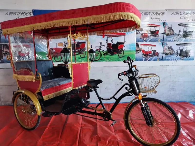 Electric Rickshaw - Efficient Cargo Bike for Passengers