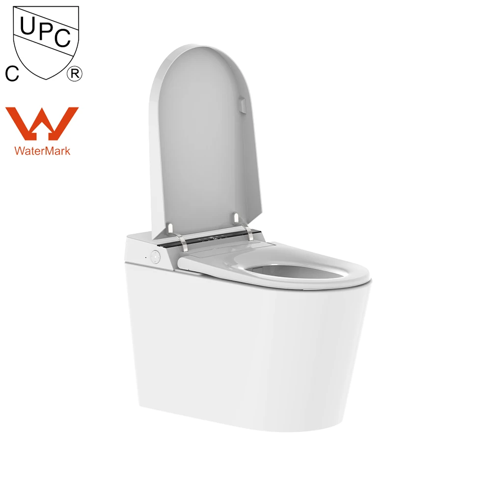 Floor Standing Ware Closet Wc Bowl Japanese Automatic Smart Toilet