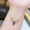 Viola