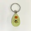 Red bean & horn spider