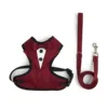 Burgundy leash