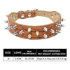XQ068 Brown Studded Necklace