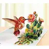 Hummingbird Cactus