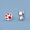gatto