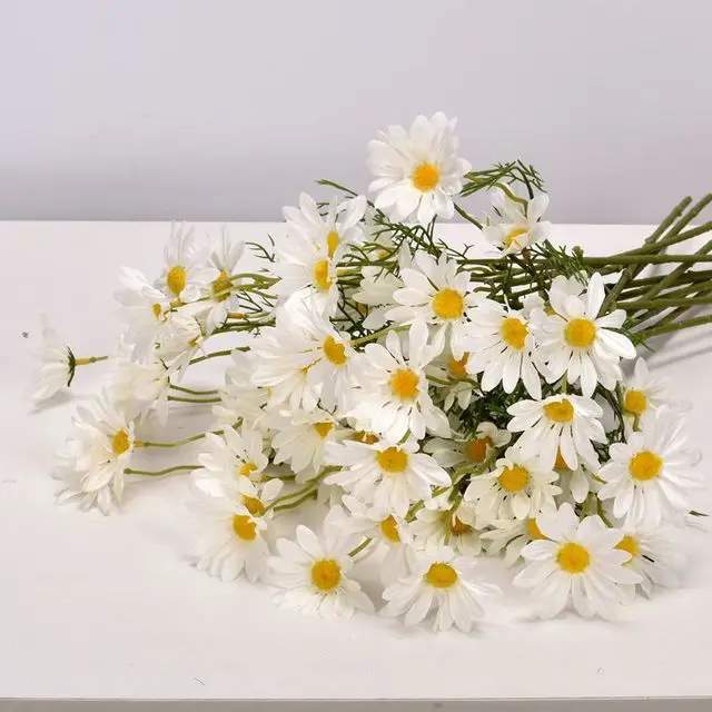 Bunga aster putih