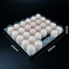 228 holes egg tray