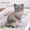 Pine cat