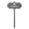 Coriandolo nero