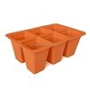 6Hole orange