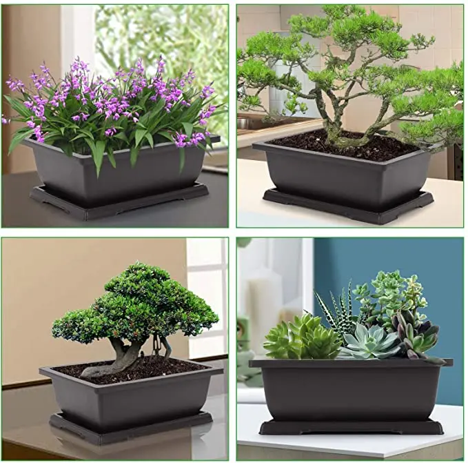 Factory Directly Sale Flower Planter Bonsai Tree Pot