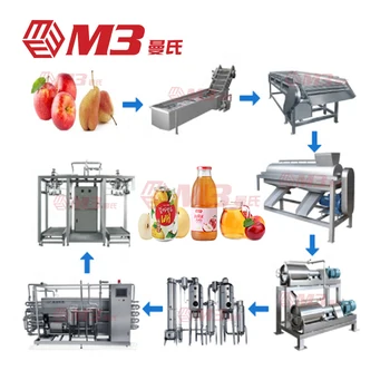 M3 Hot selling Fully automatic apple juice processing line pear juice processing production equipment packaging machine