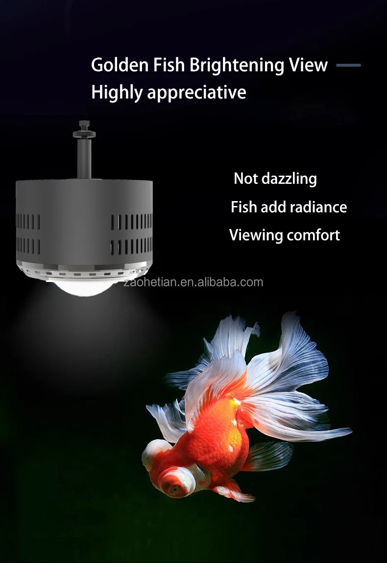 Curated visual reference: Gallery Detail: Zaohetian 100W Aquarium Led Downlight Goldfish Lamp Explosion Algae