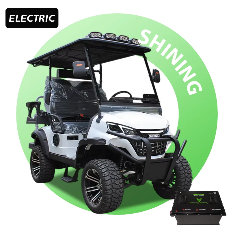 Shininglsv Electric 4-Passenger Chinese Golf Cart Single Cruiser for Canada Roads Manufactured in Japan