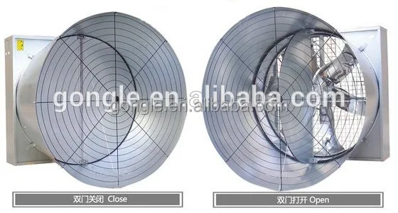 cone fan1.jpg