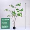 210cm Irregular Water Stone Ficus