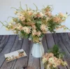 Champagne color