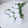 สีขาวบริสุทธิ์