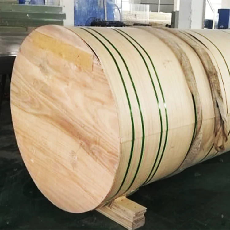 Custom High Transparency Cylindrical Shape Home Fish Tank Aquarium Large Acrylic