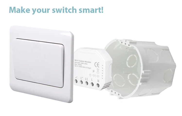 Tuya Basic 10A Smart WiFi Switch House Light Wireless Switch Domotica WiFi Light Switch  Work with Alexa