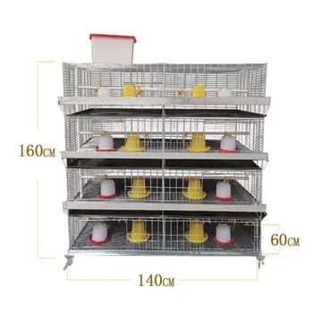 Poultry Farm Equipment Multi Tiers Pullet Layer Egg Hen Breeding Chicken Cage Day Old Baby Chickens
